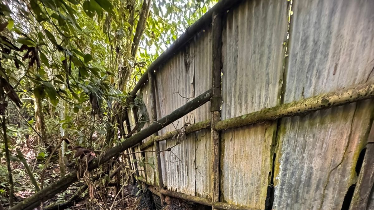 Suelo amazónico del bloque 16 en la provincia de Orellana que está manchado de petróleo.