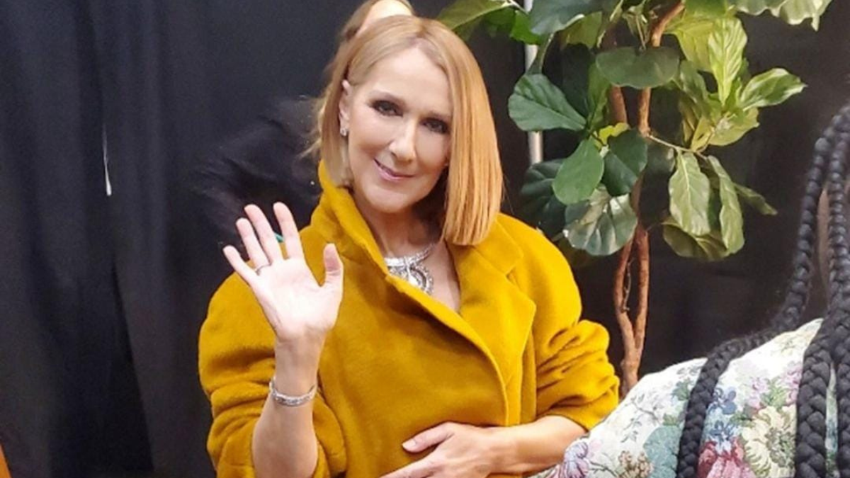 Céline Dion, cantante canadiense.