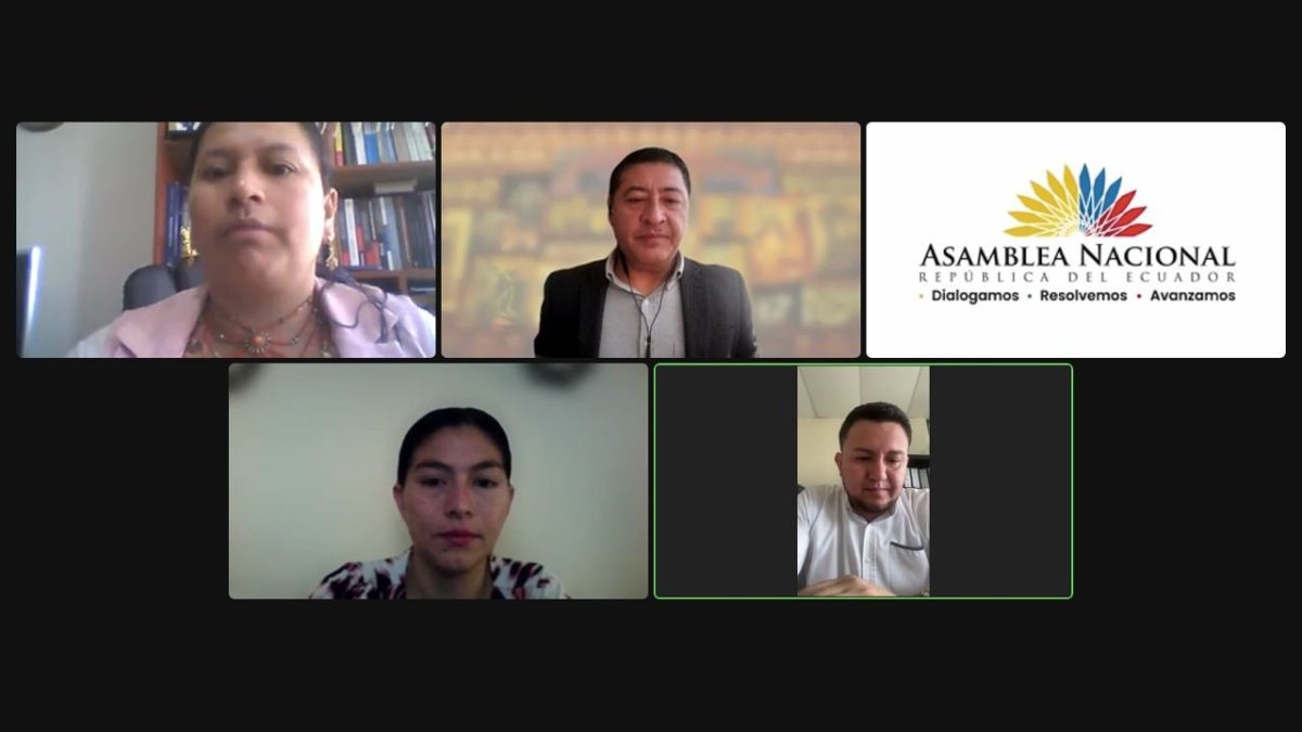 La sesión de la Comisión se desarrolló de forma virtual.