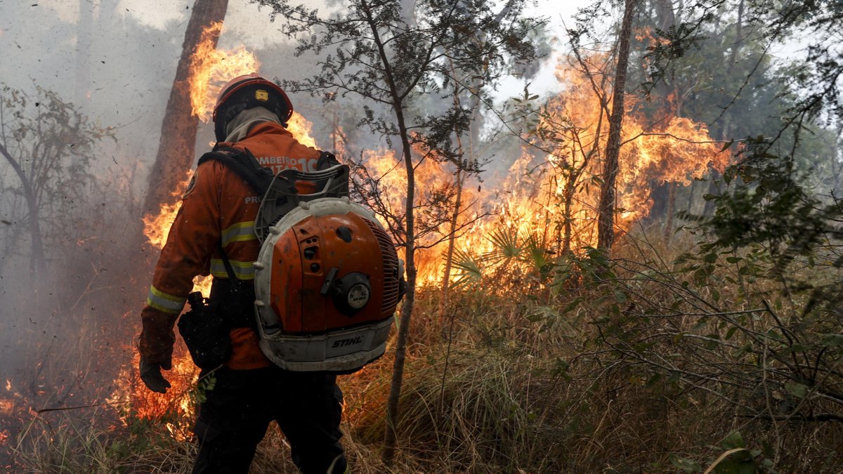 Un bombero trabaja en la extinción de un incendio este domingo 30 de junio en Pantanal (Brasil).