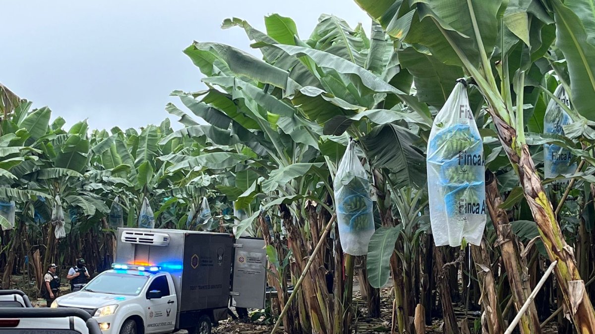 Las tres víctimas habrían sido torturadas y posteriormente ejecutadas.