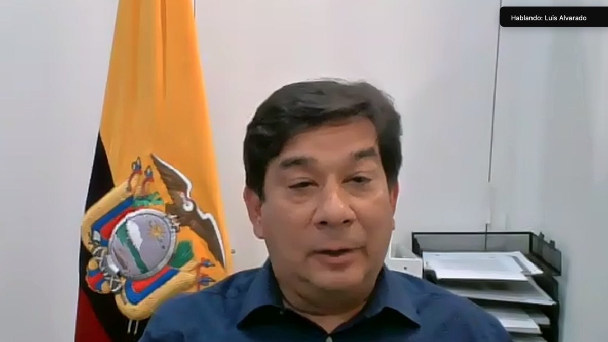 El asambleísta Luis Ricardo Alvarado se presentó, supuestamente, desde el consulado ecuatoriano en Queens a la Comisión de Fiscalización.