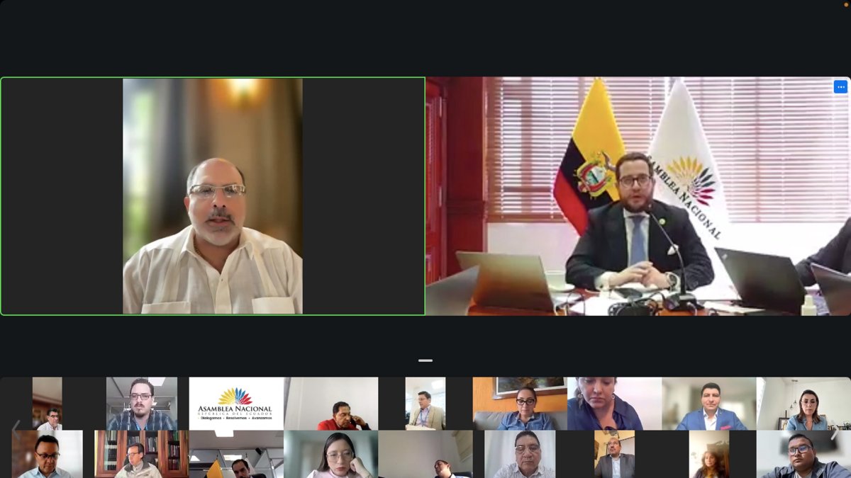 Asamblea. La sesión fue virtual. El último y definitivo debate sobre el proyecto de ley para la aplicación de la consulta popular tuvo lugar este martes.