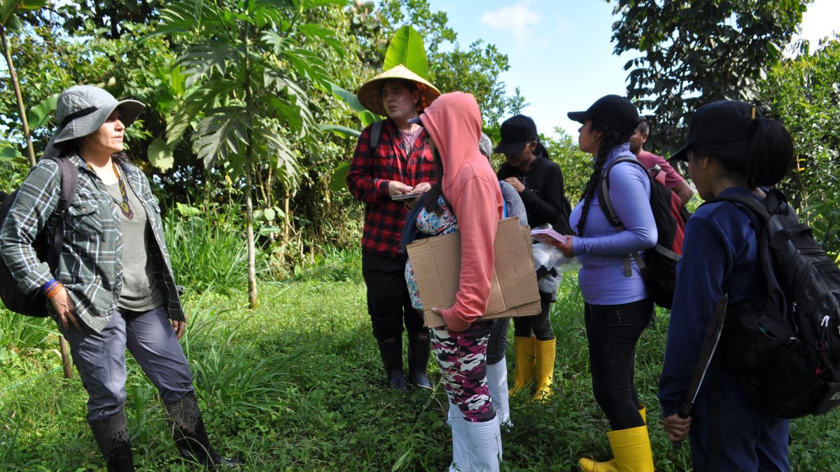 Analistas y docentes de la Universidad Técnica de Cotopaxi realizaron la toma de varias muestras en el río, pero también en las zonas aledañas al afluente, como los bosques.