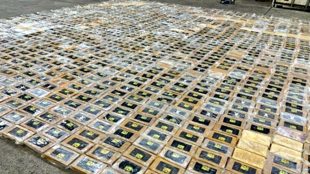 Evidencia. Las tres toneladas de droga fueron escondidas en cargamento de banano.