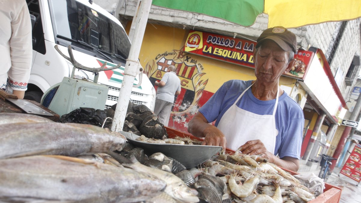 La propuesta evita exponer la carne de los animales faenados.