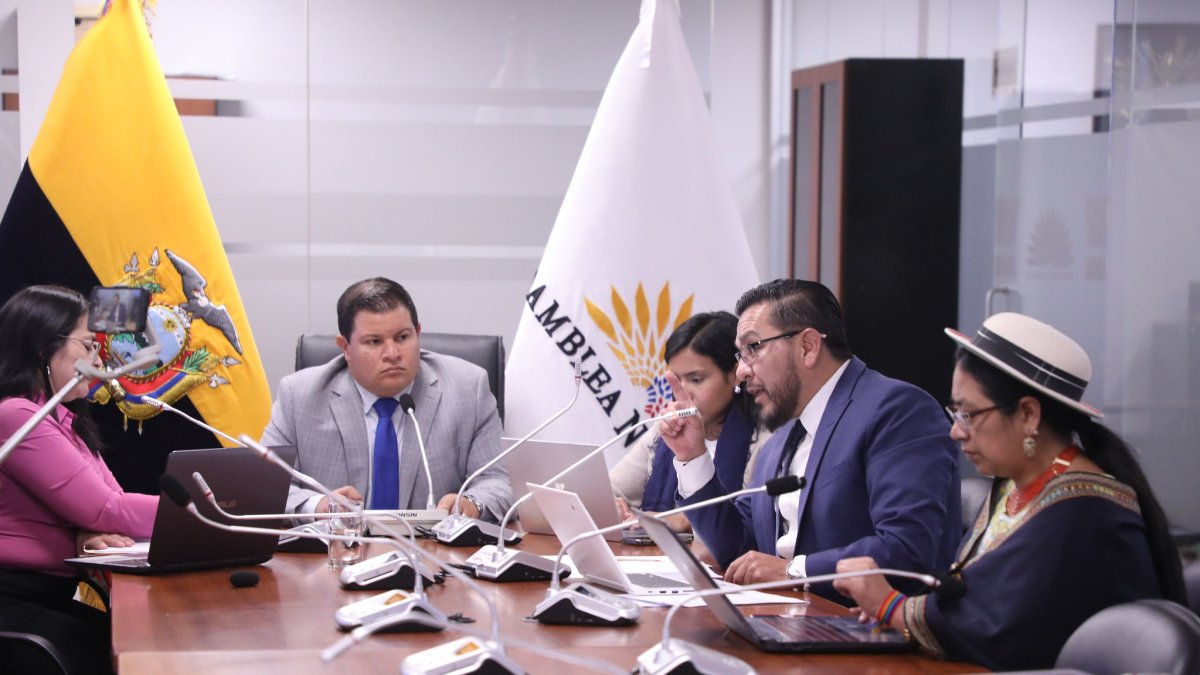 El presidente de la comisión ocasional, Jaime Moreno anunció que la sesión continuará el próximo viernes, con otras autoridades y actores del sector salud.