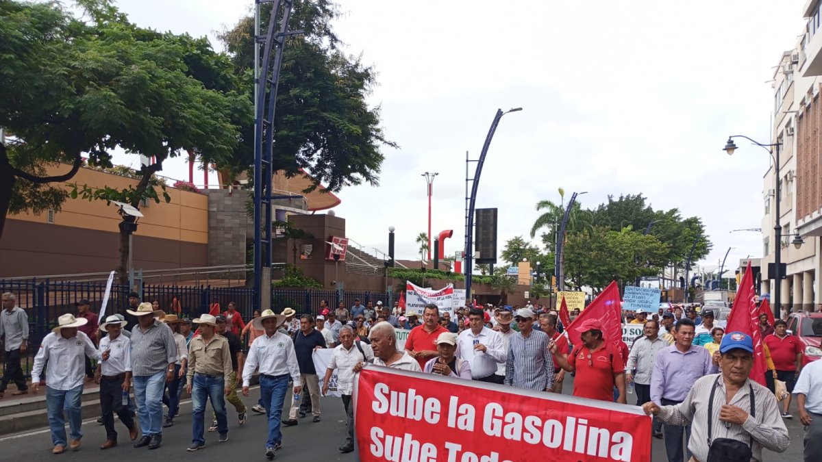 Las organizaciones que integran esta plataforma participaron en la movilización del 4 de julio contra el alza del precio de combustibles.