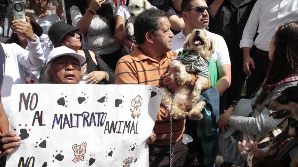 Los ciudadanos que participaron en la marcha rechazaron la eutanasia que ha aplicado la Unidad de Bienestar Animal (UBA) a los animales rescatados.