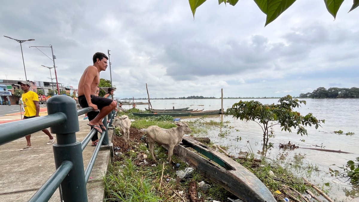 Afluentes. Varios ríos están contaminados. A orillas del río Samborondón se puede observar la basura que hay en él.