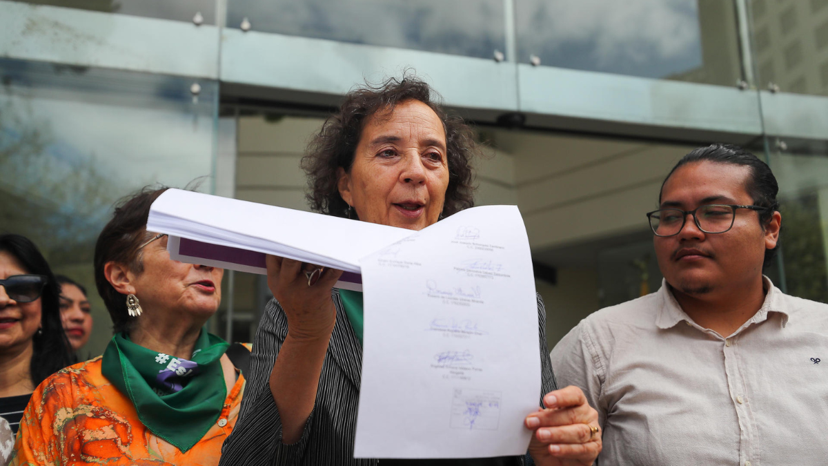 La presidenta de la Coalición Nacional de Mujeres del Ecuador, Miriam Ernst (c), junto a integrantes de organizaciones feministas de Ecuador, presentan una demanda ante la Corte Constitucional este martes en Quito (Ecuador).