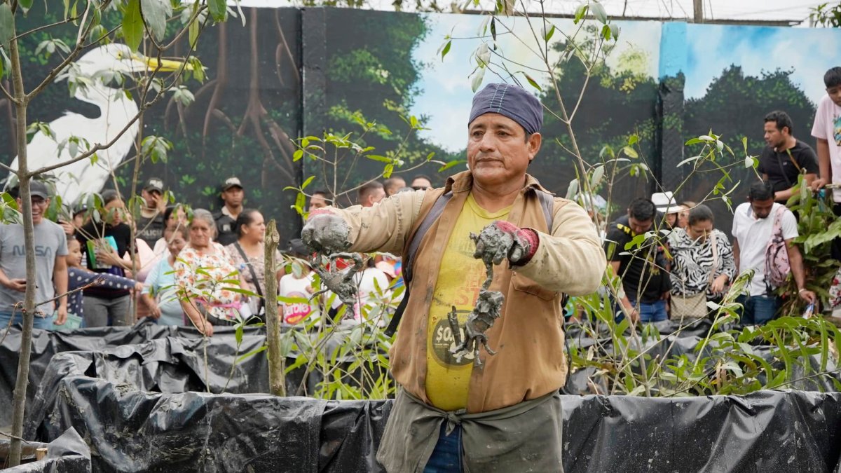 El evento en este 2024 contará con la recreación de un manglar viviente.