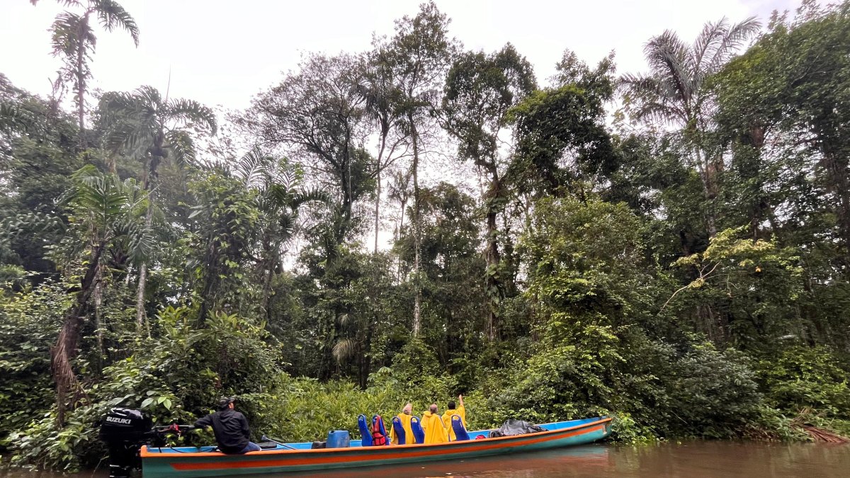 Río. En el río Cuyabeno, de acuerdo con investigaciones, los peces están contaminados con metales pesados.
