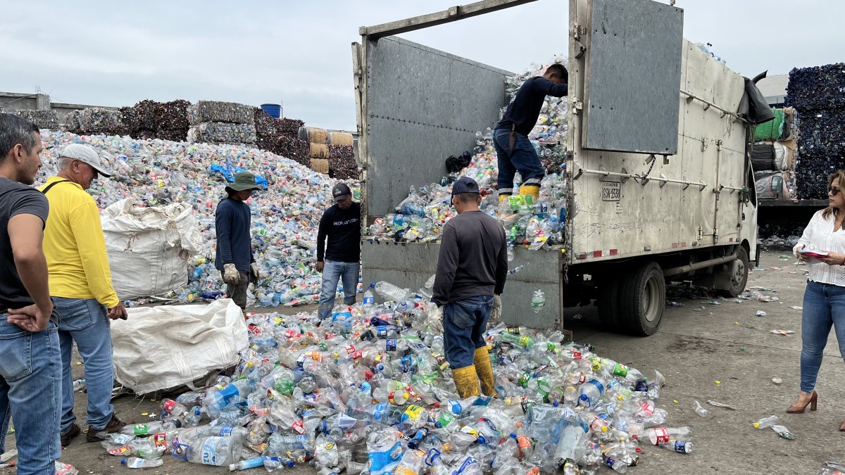 Trabajo. El reciclaje de botellas.