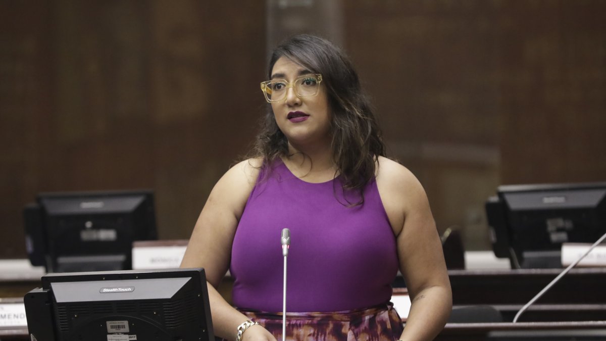 La asambleísta Gissela Garzón, de la Revolución Ciudadana, lidera la mesa ocasional.