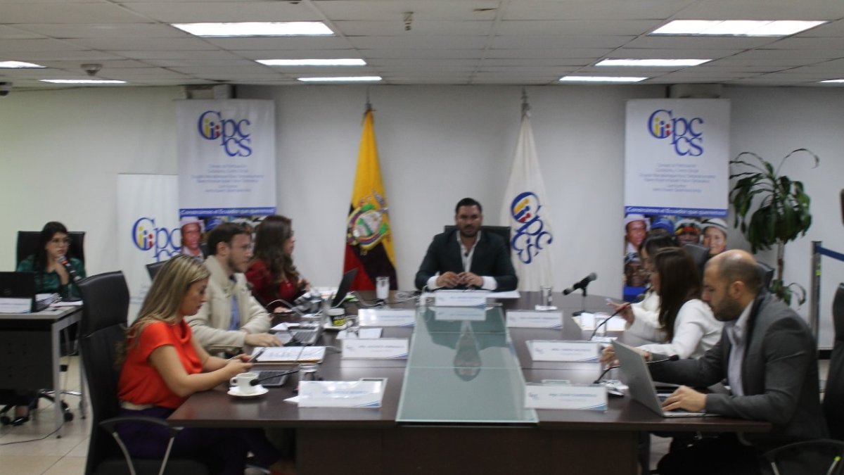 El Consejo de Participación Ciudadana y Control Social (Cpccs).