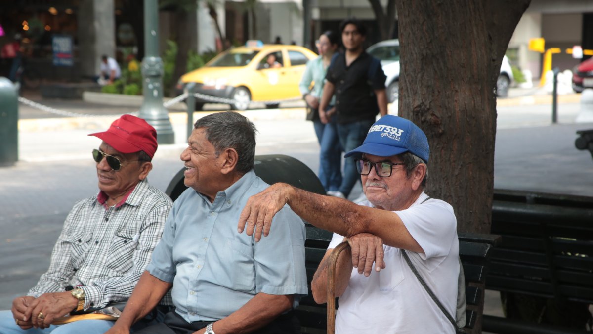 Espacios. La falta de presencia de actividades lúdicas y no aprovechar los espacios desfavorece a los adultos mayores, muchos de ellos se limitan a sentarse en las bancas a conversar entre ellos.
