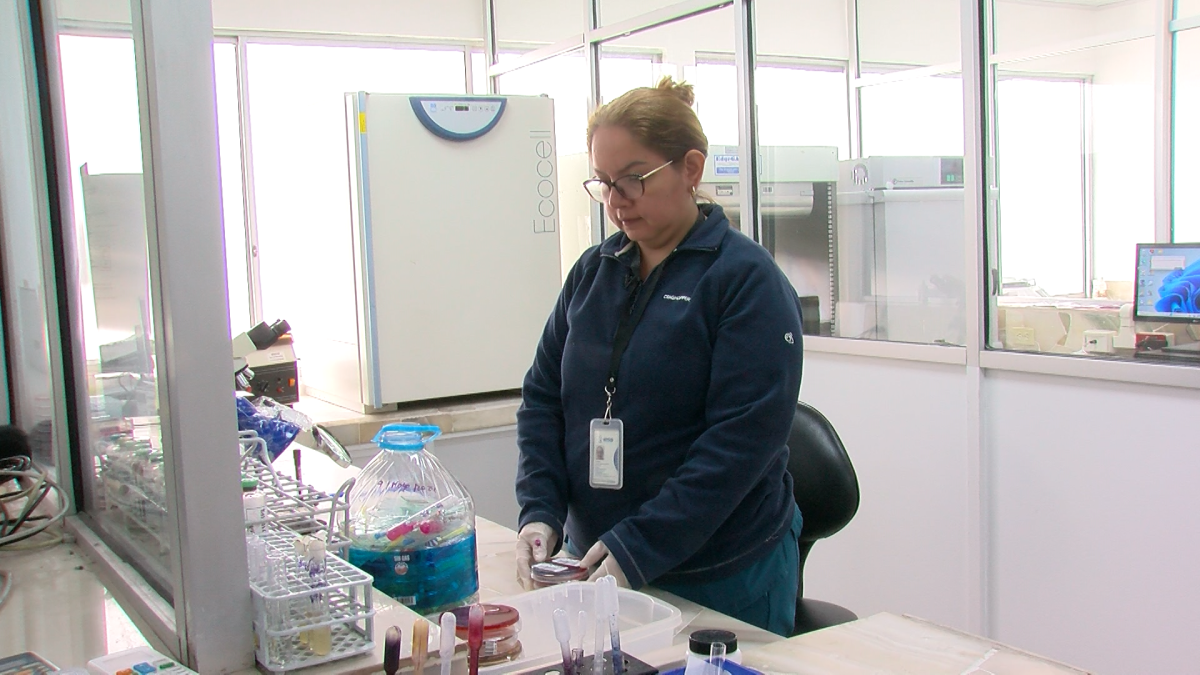 La publicación concluyó que el factor más influyente es la neumonía.