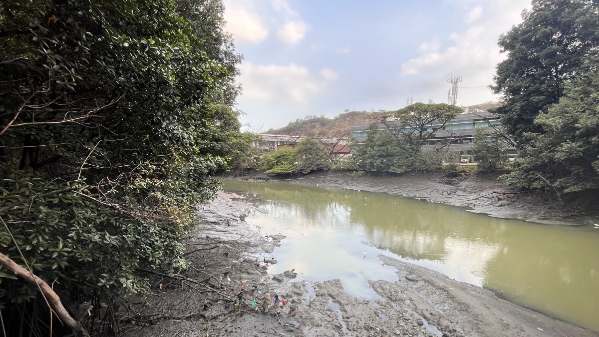 Urdesa. El estero Salado a la altura de la avenida Las Monjas tiene el agua altamente contaminada; este puede transmitir enfermedades perniciosas para la salud. La zona es muy traficada.