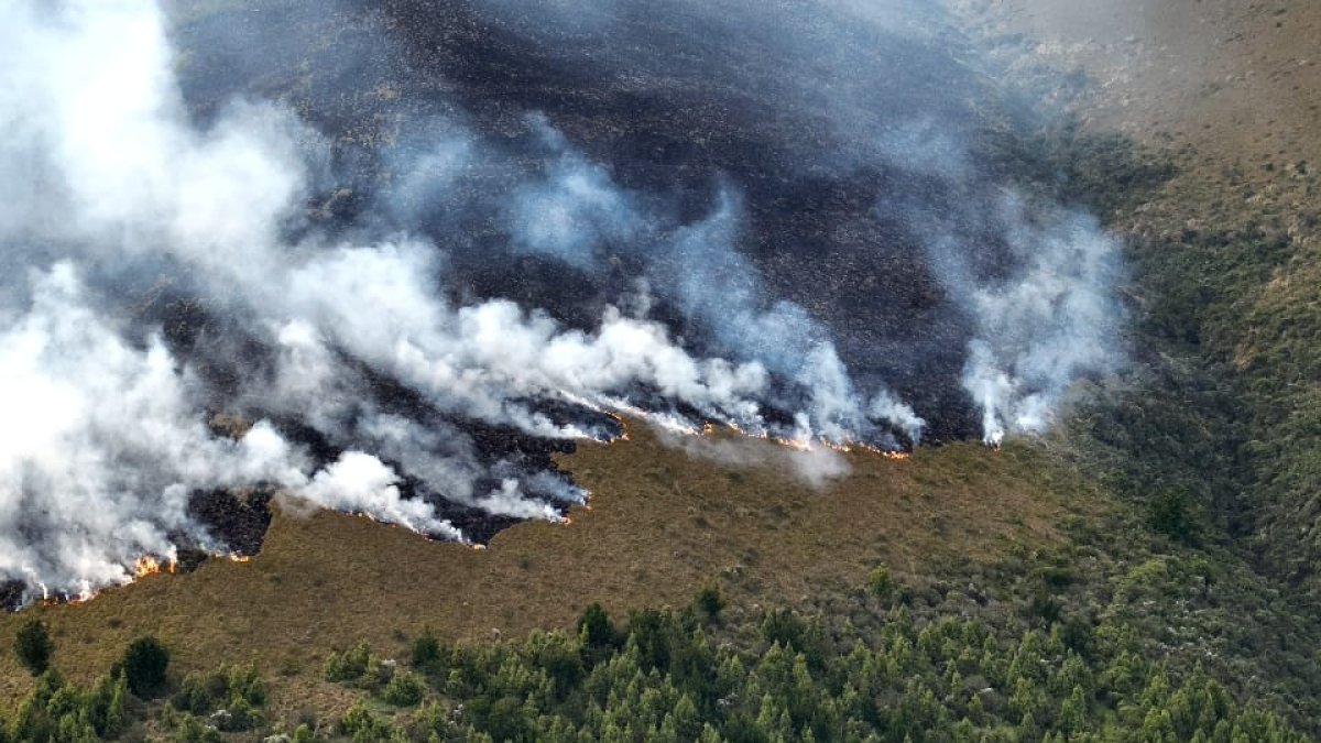 Un incendio forestal de gran magnitud se registró en el cerro Sincholagua, sector Pintag,