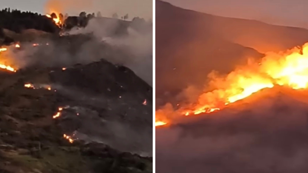 120 hectareas de vegetación se han afectado en el incendio reportado en Girón, provincia de Azuay.