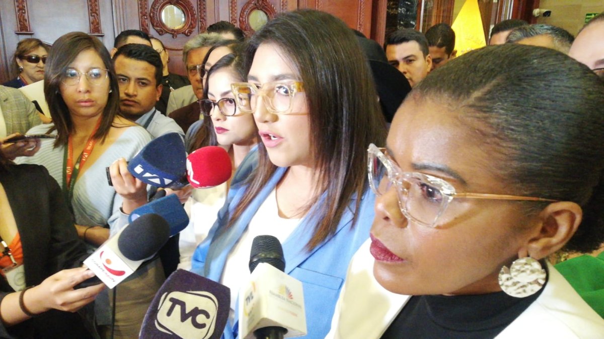 Garzón cuestionó que la Procuraduría no determinó el tiempo a considerar por el embarazo de la fiscal del Estado y que eso pone en riesgo la capacidad fiscalizadora de la Asamblea Nacional.