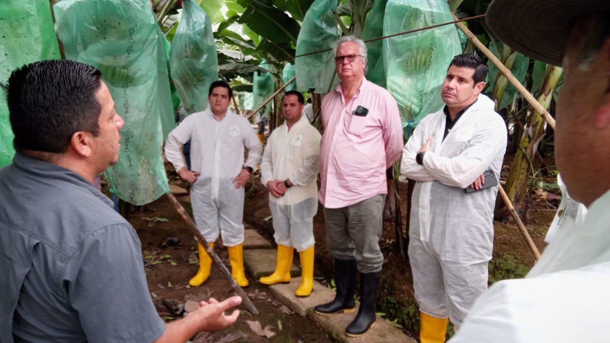 Representante del sector bananero acompañan las labores de control y capacitación para enfrentar esta enfermedad.