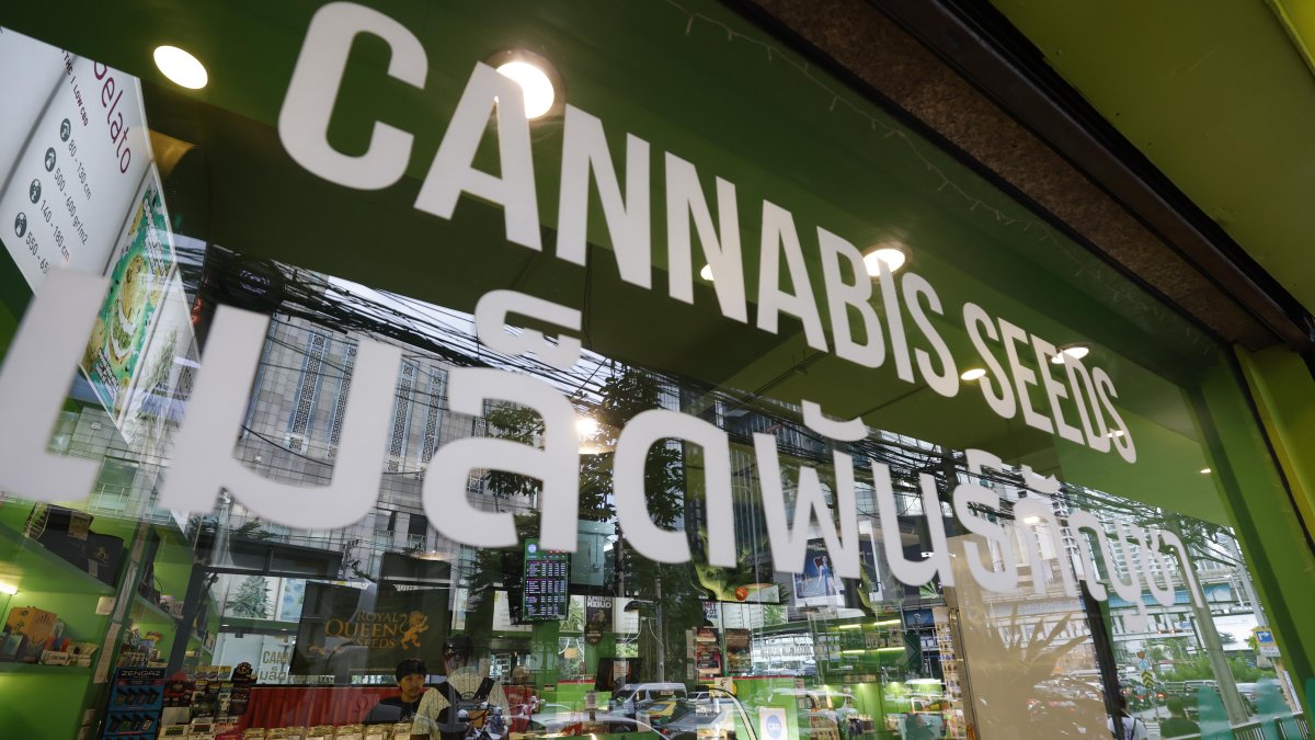 Un local de Royal Queen Seeds que ofrece cannabis en Bangkok, donde tras dos años de la despenalización del consumo de marihuana el gobierno pretende prohibir el uso lúdico.