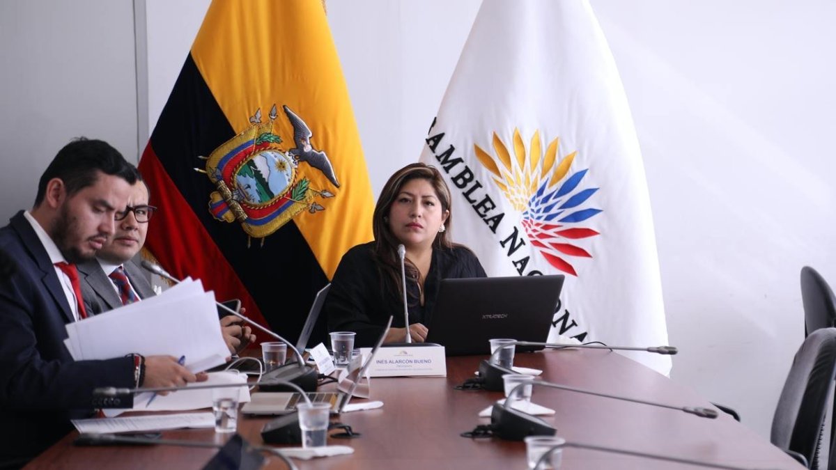 Legisladores de la mesa de seguridad de la Asamblea Nacional llaman a las autoridades relacionadas a evitar el tráfico de combustible.