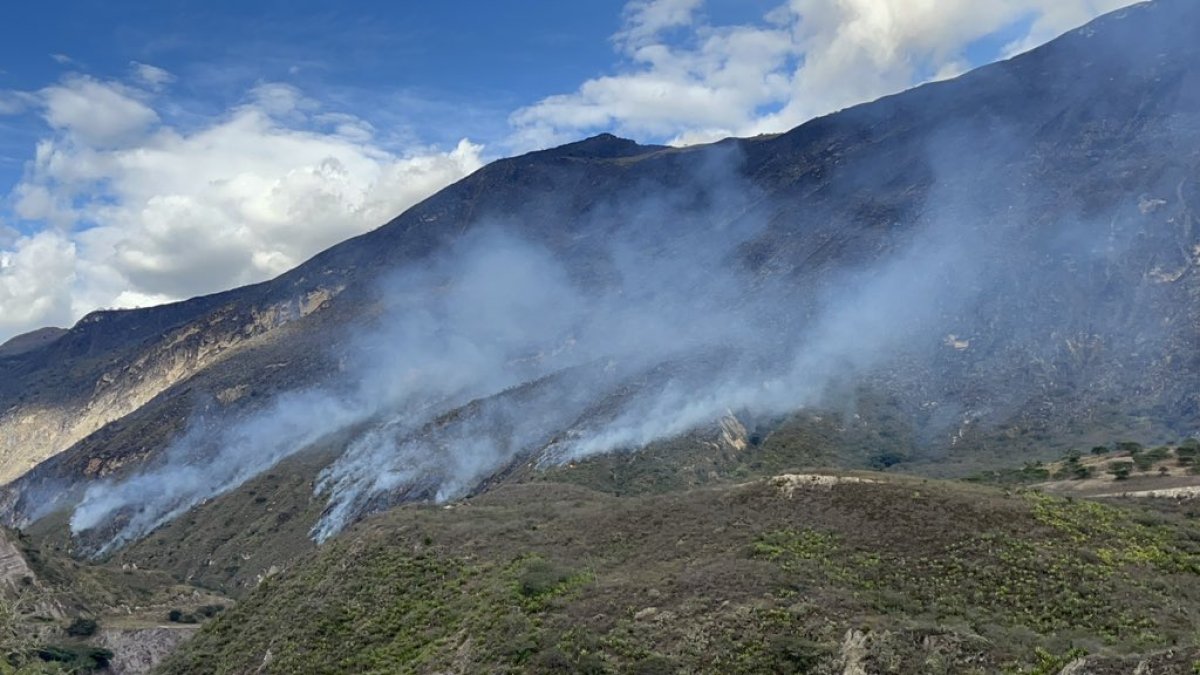De acuerdo a la Secretaría de Gestión de Riesgos, se han afectado 400 hectáreas de vegetación en tres días de incendio.