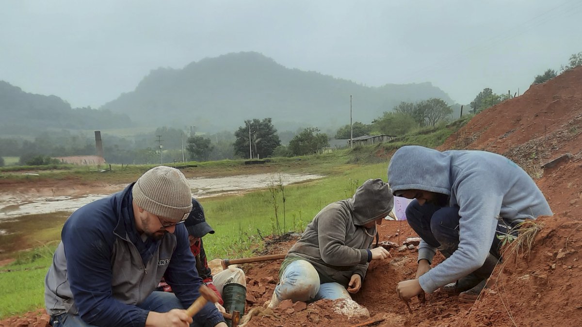 El dinosaurio es uno de los más antiguos descubiertos en el mundo y que quedó expuesto tras las graves inundaciones de mayo en la región.