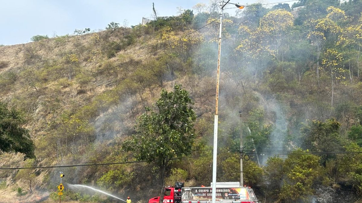 Respuesta. Los bomberos llegaron a apagar el fuego.