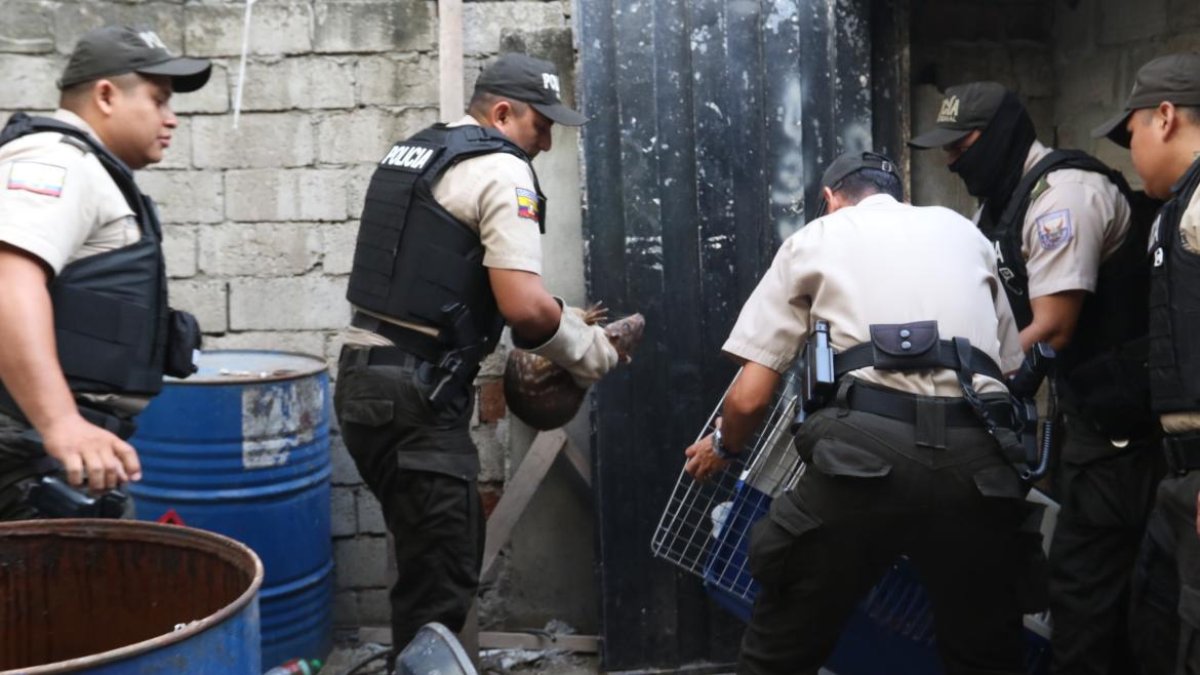 La Policía realizó operativos en el Cristo de Consuelo.