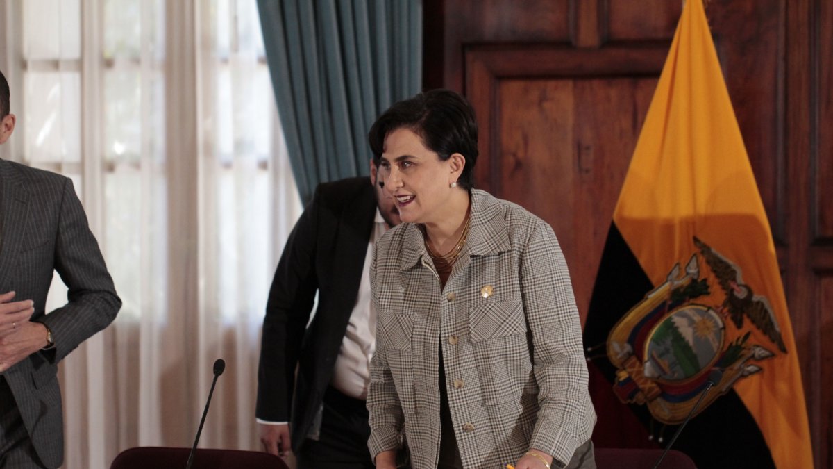 El viceministro Esteban Torres dijo que las ministras Gabriela Sommerfeld y Mónica Palencia son objeto de juicios políticos sin lógica.