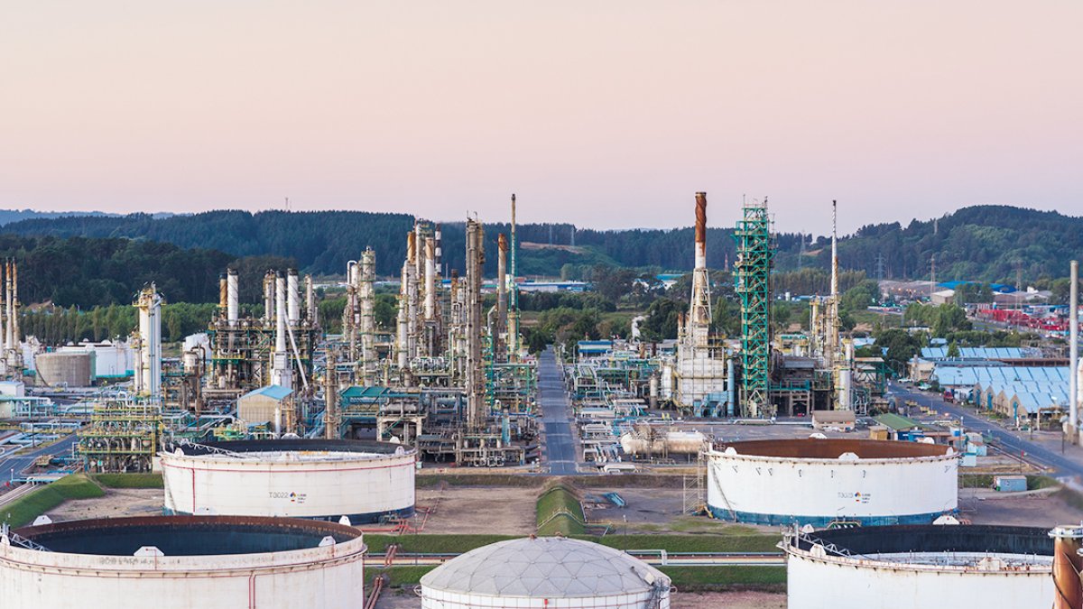 La firma chilena prevé hacer su inversión en cinco años.