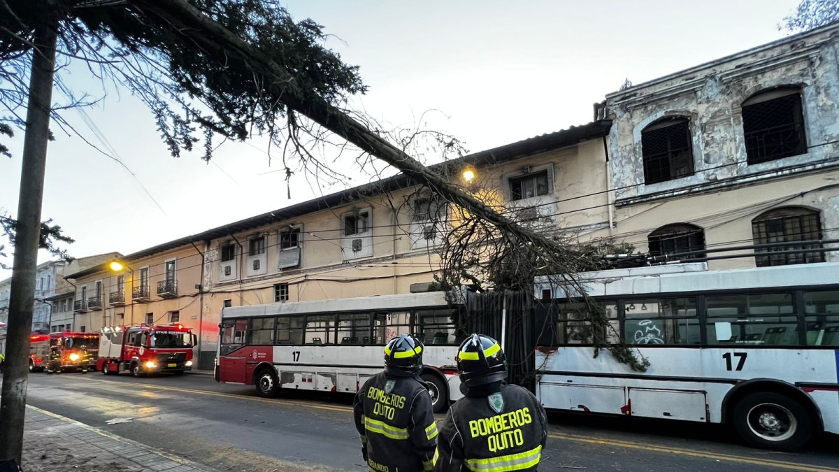 El árbol cayó sobre la mitad de la unidad 17 del trolebús, cuando circulaba en sentido sur- norte.