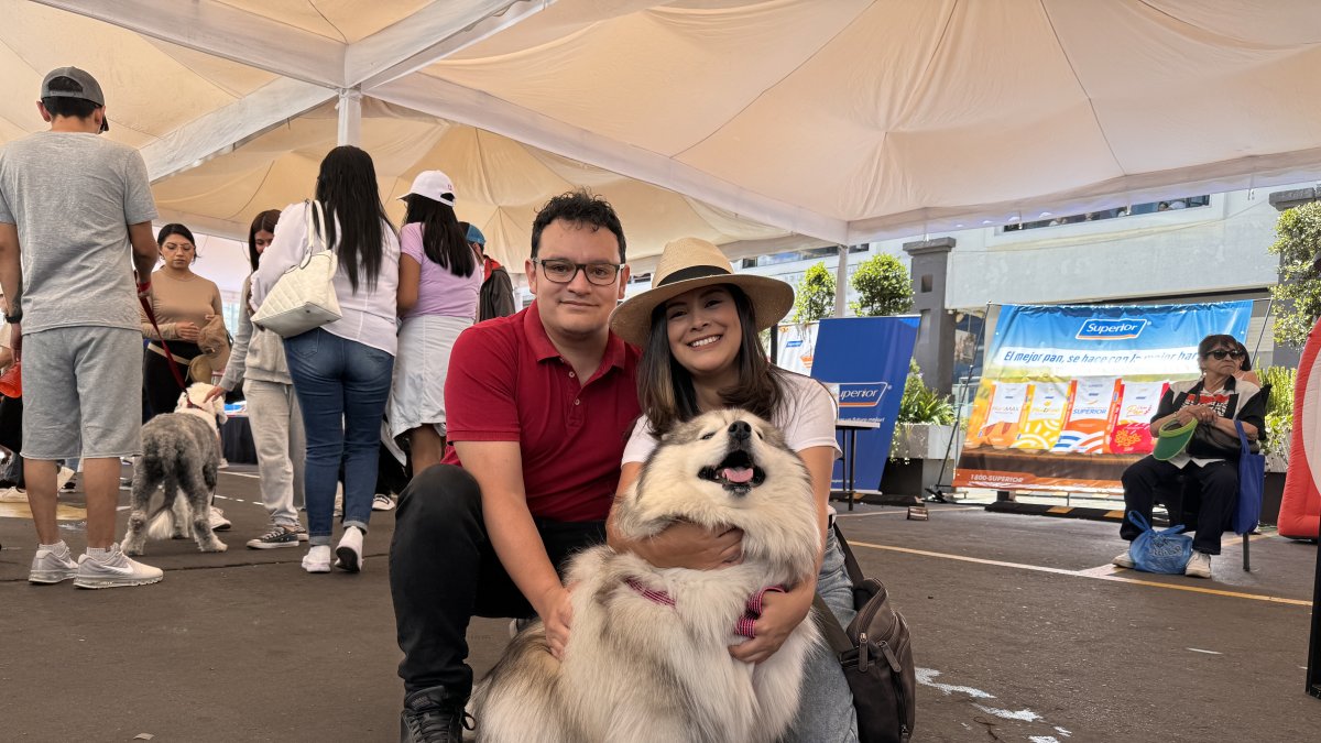 La Perritón 2024 se celebró en Quito el domingo 21 de julio.