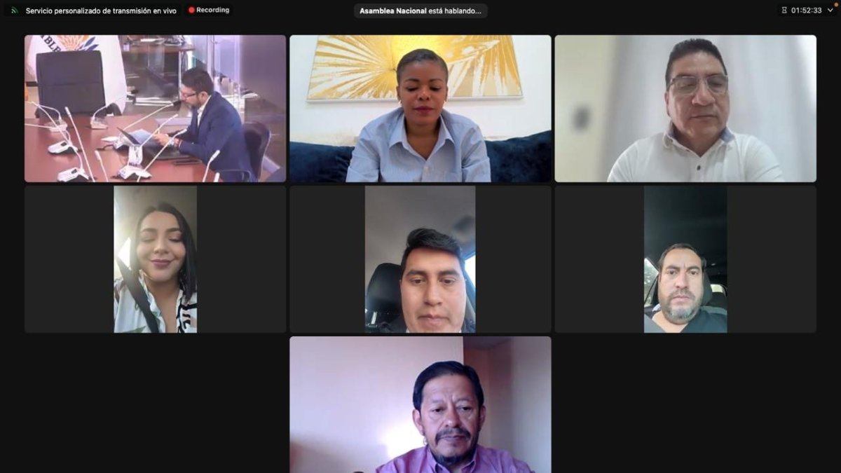 La subcomisión integrada por los asambleístas Paúl Buestán, Humberto Chávez, José Maldonado y Jhajaira Urresta recopiló los insumos para elaborar el informe.