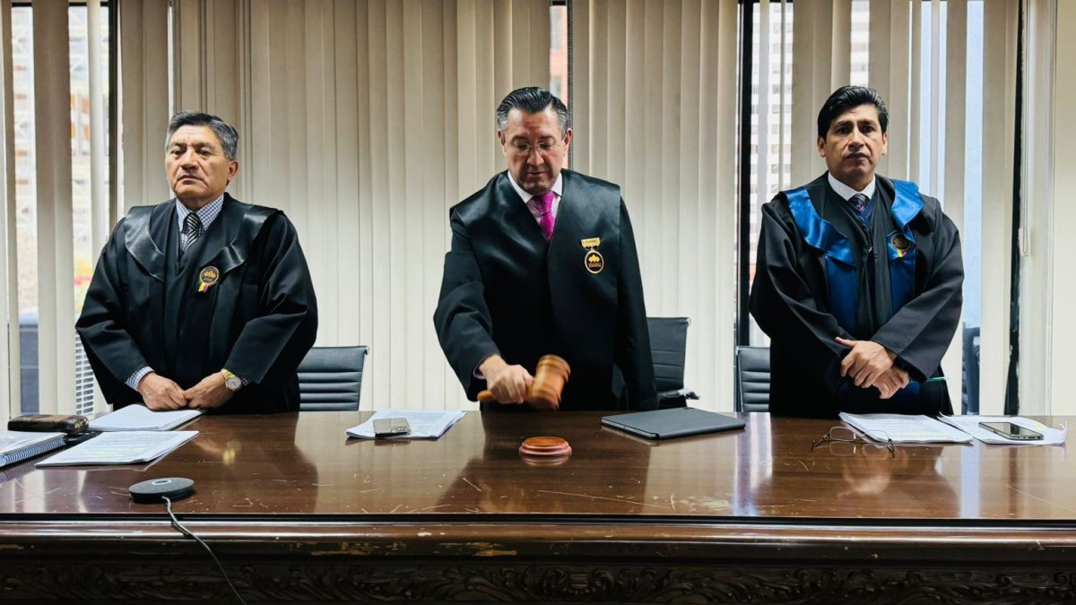 Corrte Nacional de Justicia ratificó la sentencia de un año de privación de libertad contra María Blanca Colcha por el asesinato del perro Spike