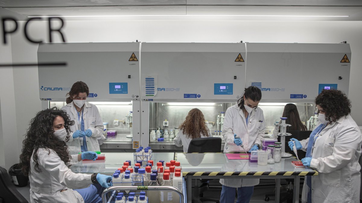 Un grupo de mujeres realiza parte de su trabajo científico.