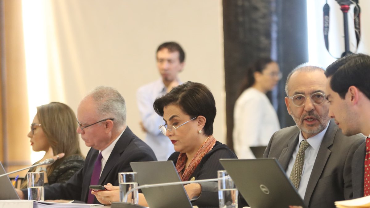 El juicio político es una violación al debido proceso, calificó la funcionaria del Ejecutivo.