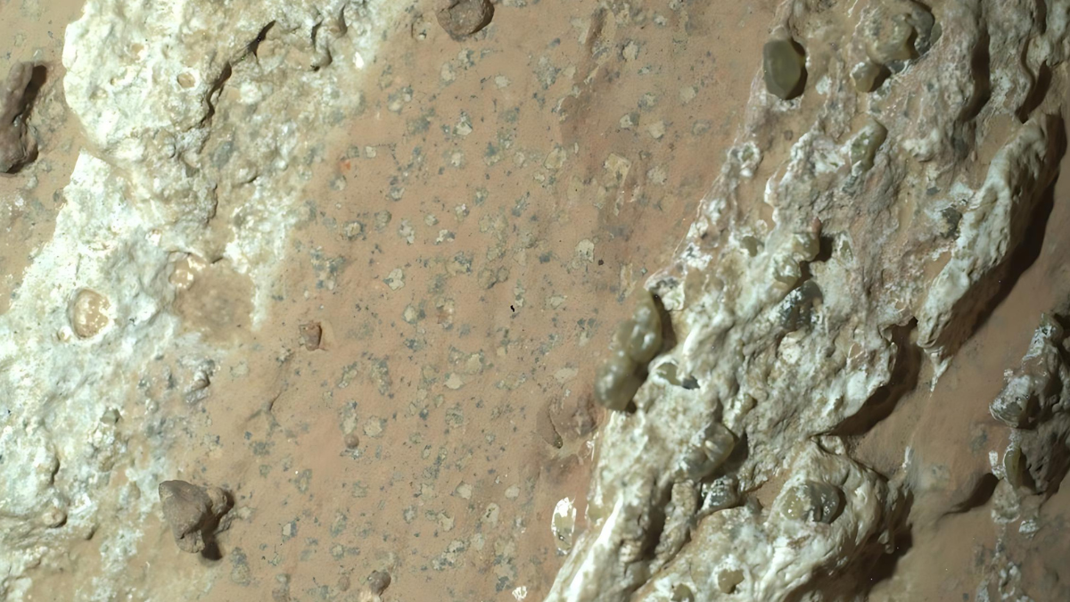 El rover Perseverance ha encontrado una interesante roca que podría ser el mejor indicio hasta la fecha de que en el pasado hubo vida microbiana en el planeta rojo.