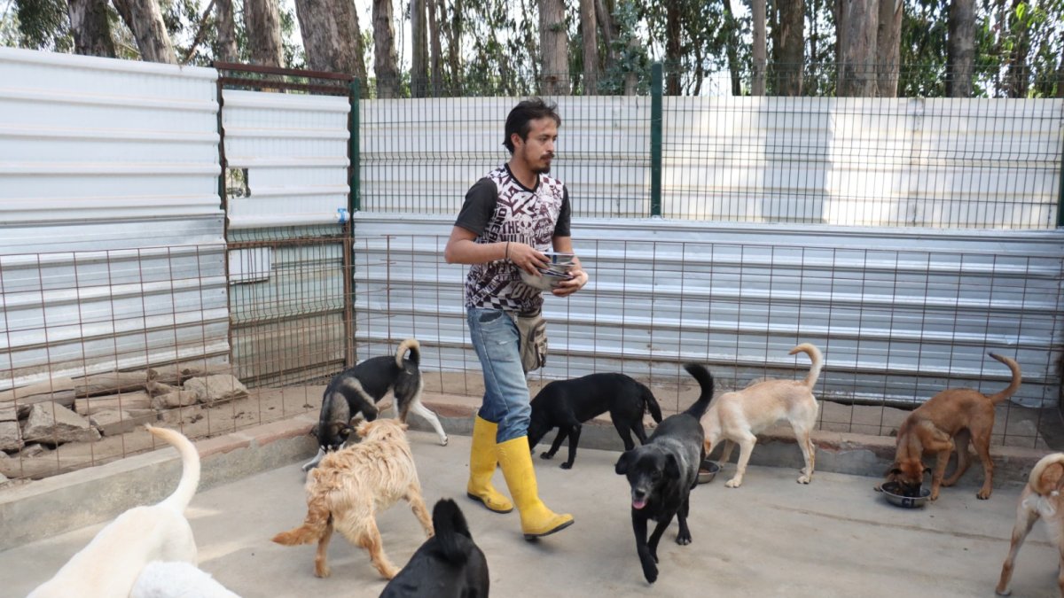 PAE tiene un refugio de rescate animal y también un espacio para las adopciones responsables, en Alangasí, suroriente de Quito.