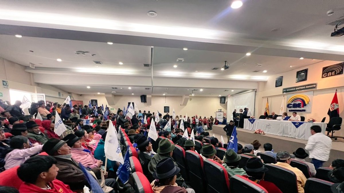 Algunos partidos han empezado por reestructurar sus directivas provinciales antes de convocar a sus primarias.