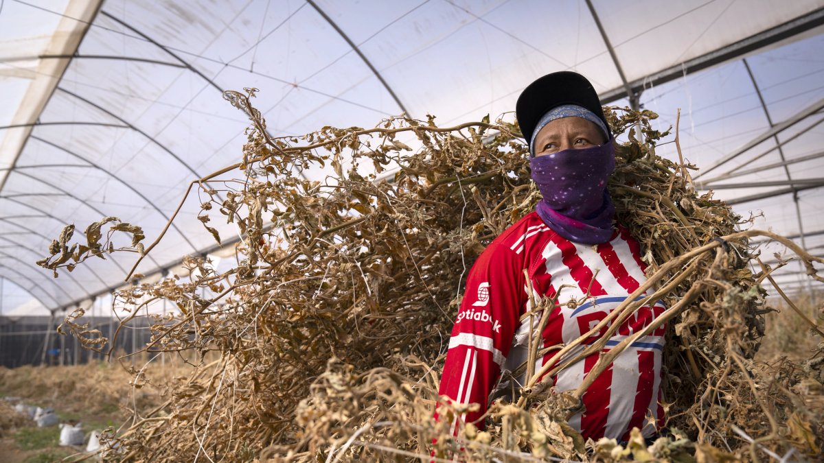 El calor y el cambio climático se ha convertido en una amenaza para el trabajo en el mundo.