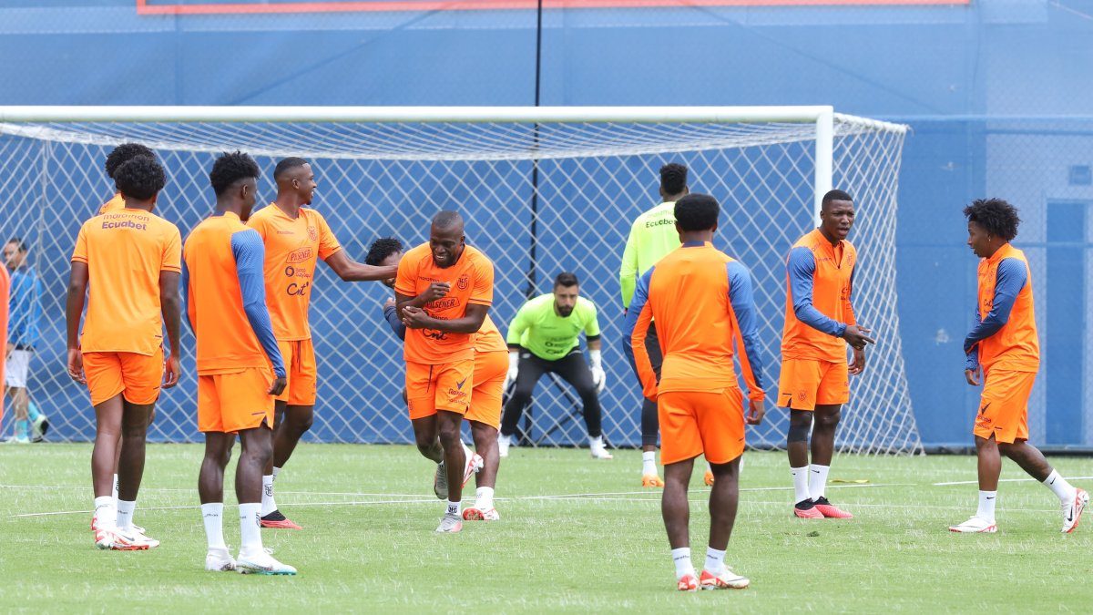 La selección ecuatoriana de fútbol quedó sin timonel luego de disputar la Copa América 2024, en la que fue eliminada por Argentina en cuartos de final.