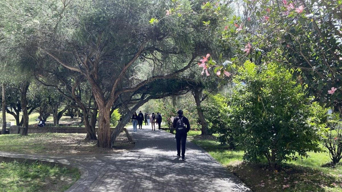 Un juez negó la acción de protección que interpusieron el rector y vicerrectores de la Universidad Central del Ecuador.