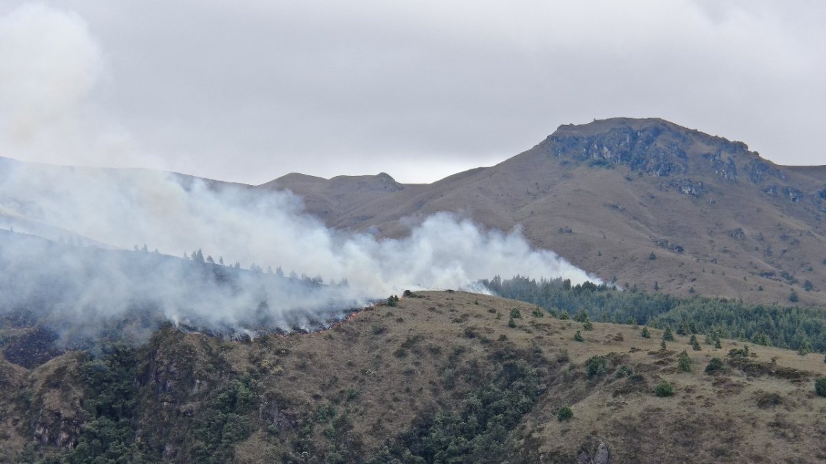 Más de 100 bomberos trabajaron durante tres días para extinguir el incendio forestal registrado en San Joaquín.