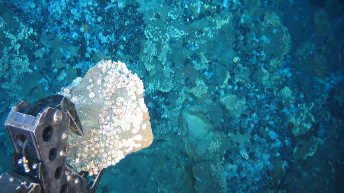 La minería en aguas profundas o submarina es una industria extractiva comercial emergente. El fin es arrasar los fondos marinos para obtener minerales y metales.