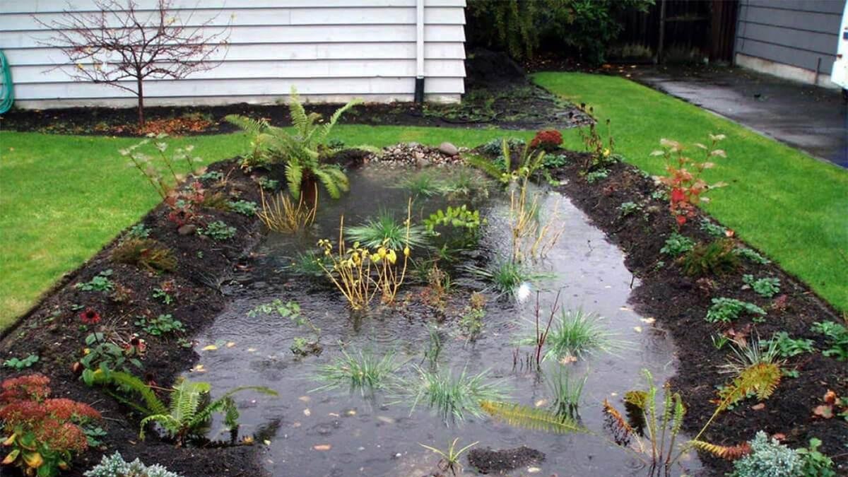 Los jardines de lluvia son algunas de las propuestas del proyecto Yaku.